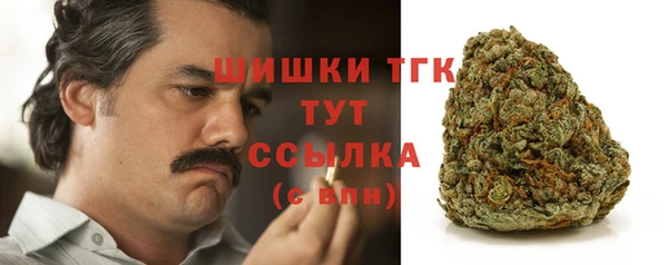 молекула духа Волосово
