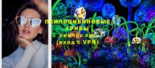 молекула духа Волосово