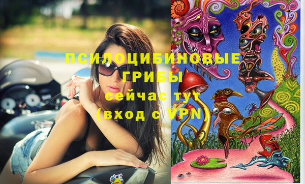 спиды Володарск