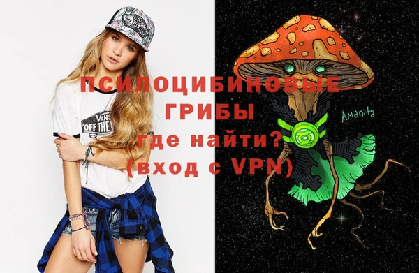 спиды Володарск