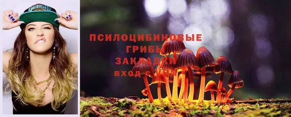 молекула духа Волосово